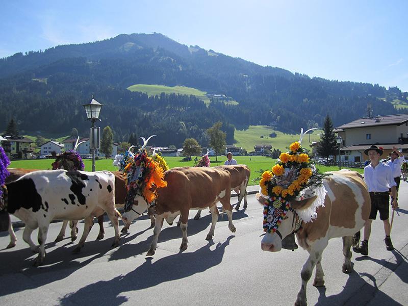 Appartement Bergblick Westendorf Rum bild